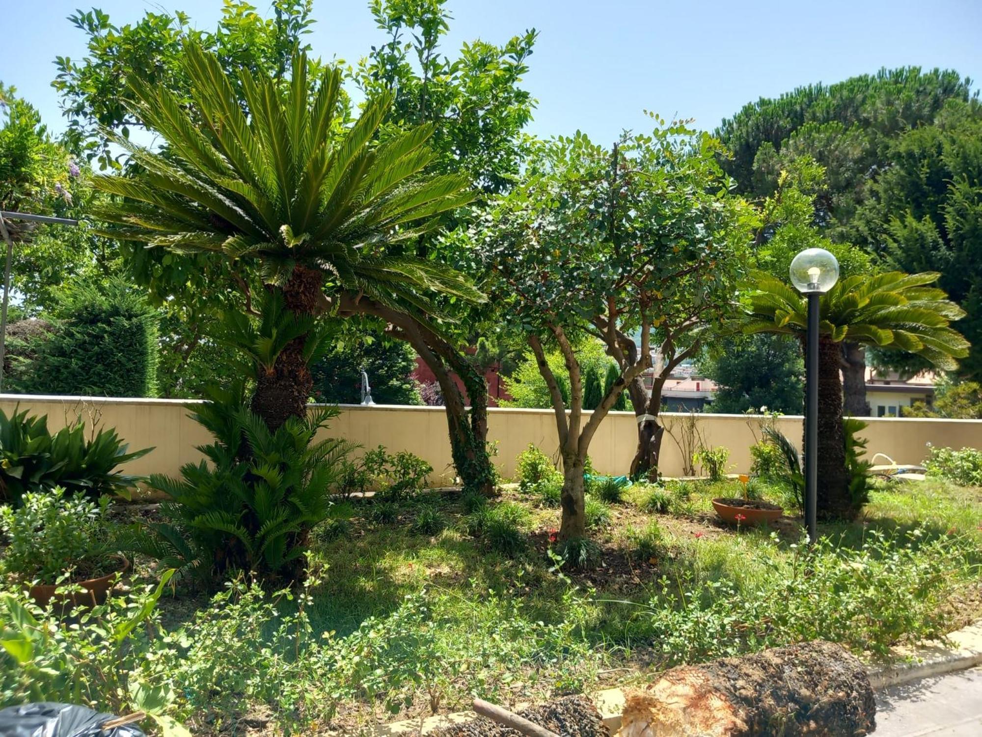 Villa Maria Cristina D'Amico Cava deʼ Tirreni Екстериор снимка